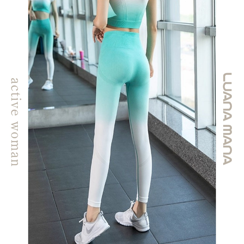 Mana Muse Gradient leggings 1065