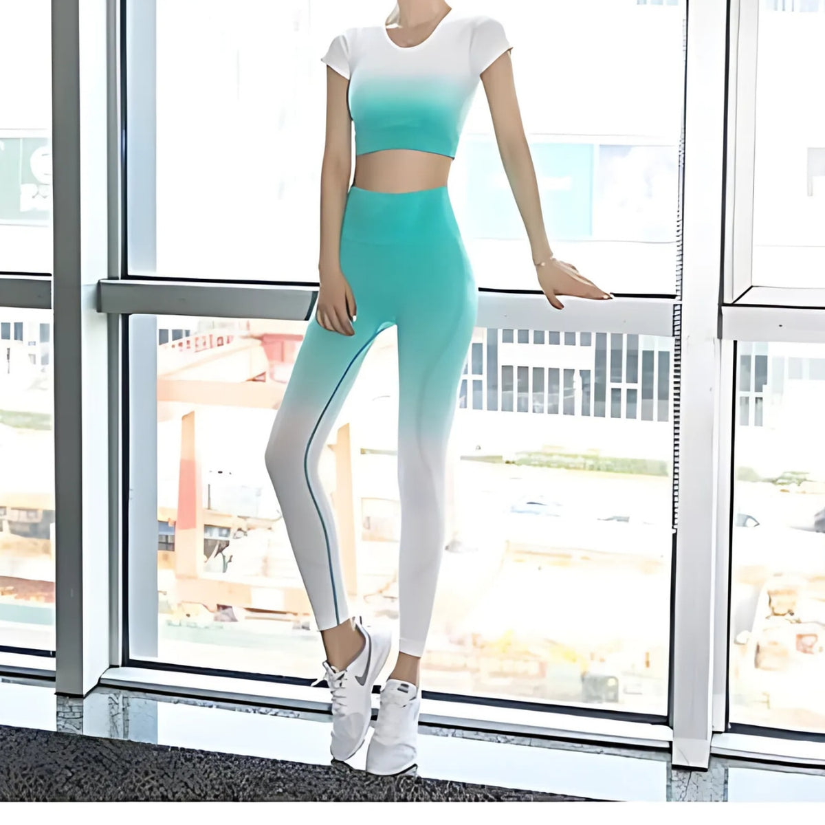 Mana Muse Gradient leggings 1065