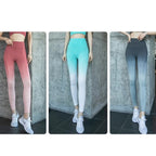 Mana Muse Gradient leggings 1065